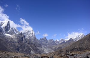 Plant life expanding in the Everest region Plant life expanding in the Everest region scaled