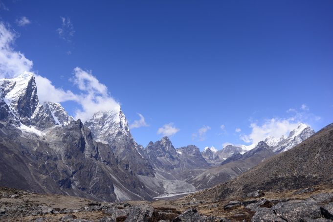 Plant life expanding in the Everest region scaled