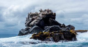 Research links sea ice retreat with tropical phenomena including a new kind of El Nino
