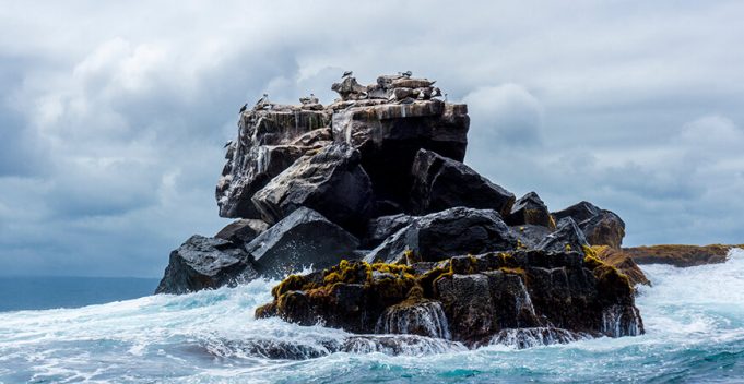 Research links sea ice retreat with tropical phenomena, including a new kind of El Nino Research links sea ice retreat with tropical phenomena including a new kind of El Nino