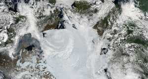 Rewilding could prevent Arctic permafrost thaw and reduce climate change risks
