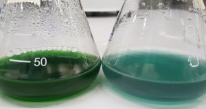 Scientists find new way to sustainably make chemicals by copying natures tricks