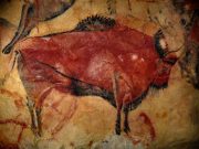 Study shows human ancestors could have consumed hard plant tissues without damaging their teeth