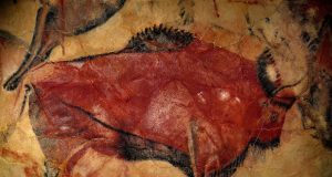 Study shows human ancestors could have consumed hard plant tissues without damaging their teeth