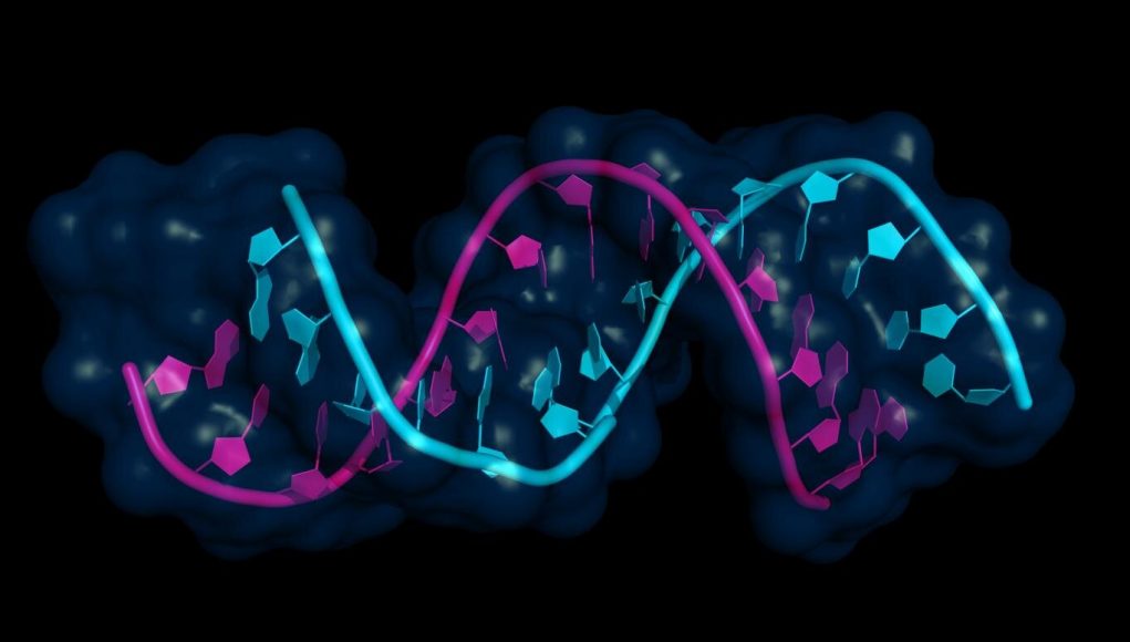 Surprise discovery shakes up our understanding of gene expression