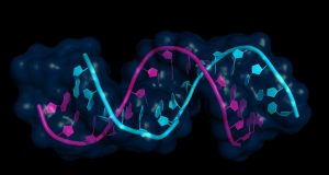 Surprise discovery shakes up our understanding of gene expression