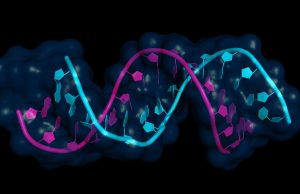 Surprise discovery shakes up our understanding of gene expression Surprise discovery shakes up our understanding of gene expression