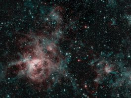 Tarantula Nebula spins web of mystery in Spitzer image scaled