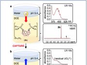 Team develops an electrochemical method for extracting uranium and potentially other metal ions from solution