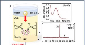 Team develops an electrochemical method for extracting uranium and potentially other metal ions from solution