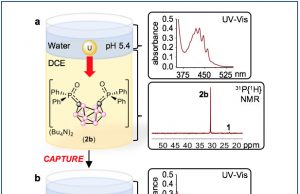 Team develops an electrochemical method for extracting uranium, and potentially other metal ions, from solution Team develops an electrochemical method for extracting uranium and potentially other metal ions from solution