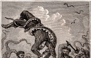 The mysterious, legendary giant squid’s genome is revealed The mysterious legendary giant squids genome is revealed