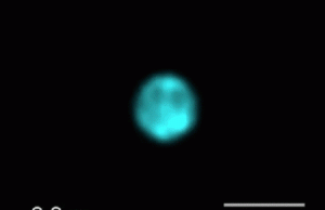 Ultrafast camera takes 1 trillion frames per second of transparent objects and phenomena Ultrafast camera takes 1 trillion frames per second of transparent objects and phenomena