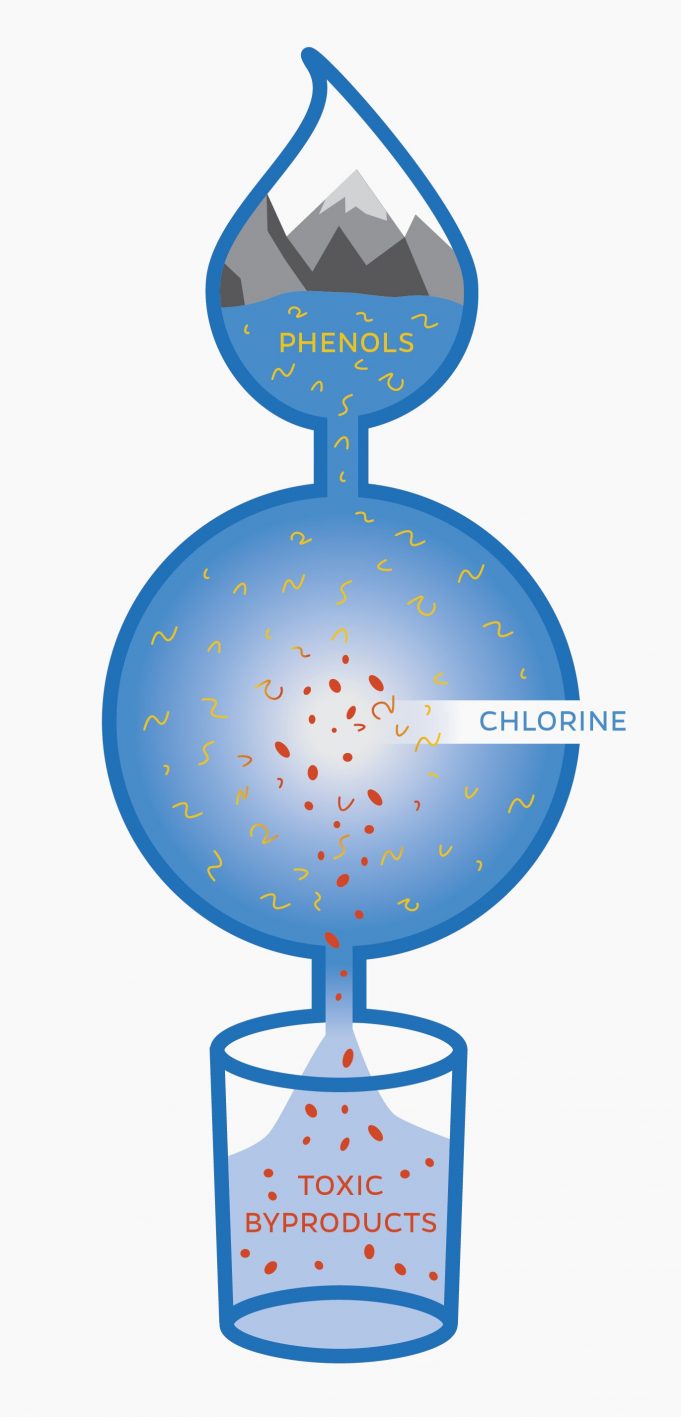 Whats in your water Researchers identify new toxic byproducts of disinfecting drinking water scaled