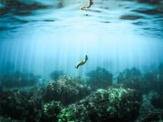 A plan to save Earths oceans