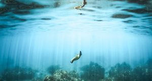 A plan to save Earths oceans