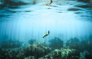 A plan to save Earth’s oceans A plan to save Earths oceans