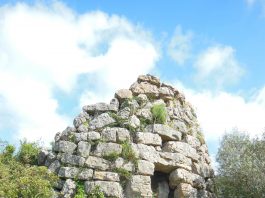 Ancient DNA from Sardinia reveals 6000 years of genetic history scaled