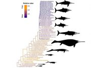 Boom and bust for ancient sea dragons