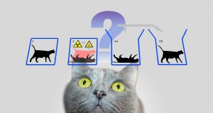 Deconstructing Schrödingers cat