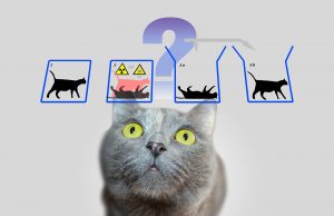 Deconstructing Schrödinger’s cat Deconstructing Schrödingers cat