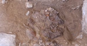Discovery at flower burial site could unravel mystery of Neanderthal death rites