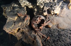 Early North Americans may have been more diverse than previously suspected Early North Americans may have been more diverse than previously suspected scaled