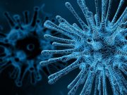 Exposing a viruss hiding place reveals new potential vaccine