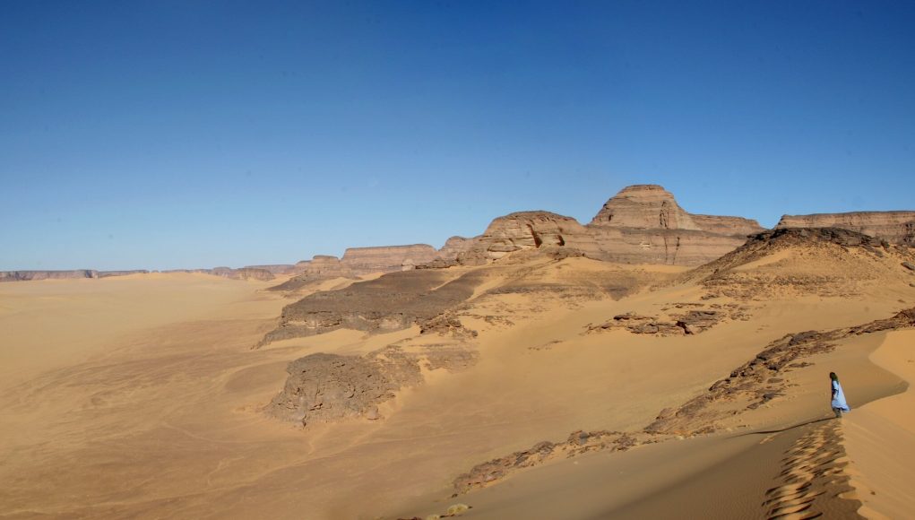 Fish in the Sahara Yes in the early Holocene