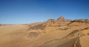Fish in the Sahara Yes in the early Holocene