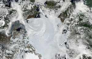 Global science team on red alert as Arctic lands grow greener Global science team on red alert as Arctic lands grow greener