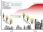 Heat trapped in urban areas tricks trees into thinking spring has arrived earlier