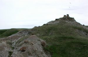 How did dinosaur parents know when their kids had a fever? How did dinosaur parents know when their kids had a fever