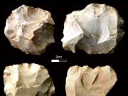 Human populations survived the Toba volcanic super eruption 74000 years ago