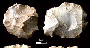 Human populations survived the Toba volcanic super eruption 74000 years ago