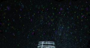 Lights out Fireflies face extinction threats of habitat loss light pollution pesticides