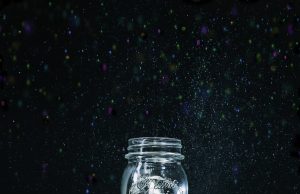 Lights out? Fireflies face extinction threats of habitat loss, light pollution, pesticides Lights out Fireflies face extinction threats of habitat loss light pollution pesticides