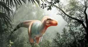 Meet T Rexs older cousin