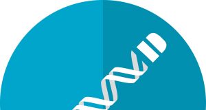 New CRISPR based tool can probe and control several genetic circuits at once