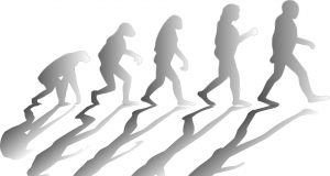 New mathematical model reveals how major groups arise in evolution