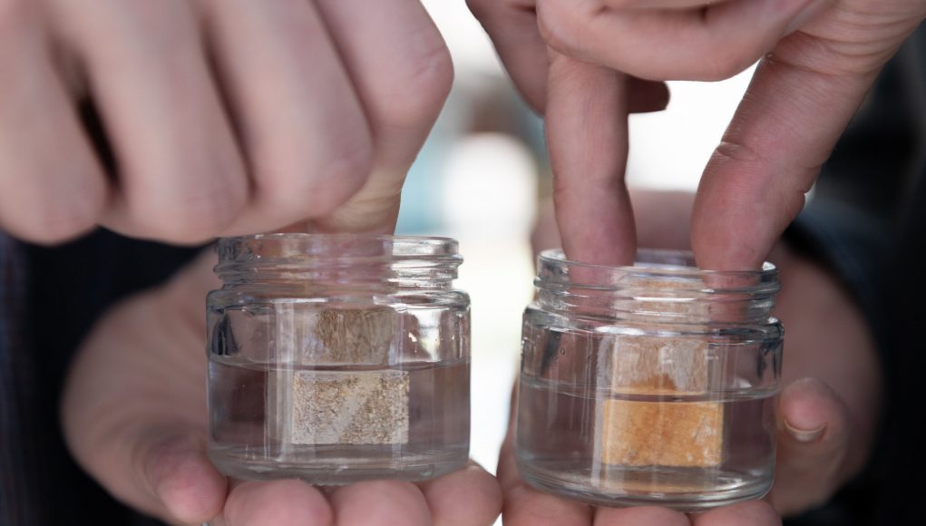 New process for preserving lumber could offer advantages over pressure treating scaled