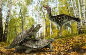 One single primitive turtle resisted mass extinction in the northern hemisphere One single primitive turtle resisted mass extinction in the northern hemisphere