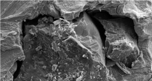 One small grain of moon dust one giant leap for lunar studies