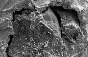 One small grain of moon dust, one giant leap for lunar studies One small grain of moon dust one giant leap for lunar studies