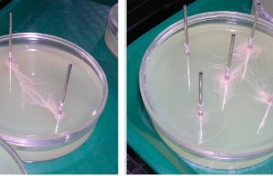 Origin of life: A Darwinian machine for non-living objects Origin of life A Darwinian machine for non living objects