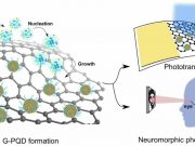 Researchers develop device that mimics brain cells used for human vision