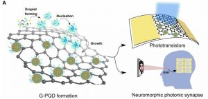 Researchers develop device that mimics brain cells used for human vision