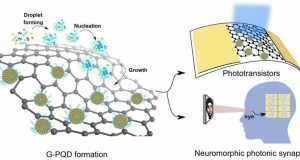 Researchers develop device that mimics brain cells used for human vision