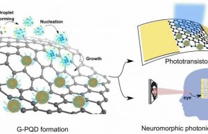 Researchers develop device that mimics brain cells used for human vision Researchers develop device that mimics brain cells used for human vision