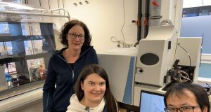 Researchers discover new arsenic compounds in rice fields